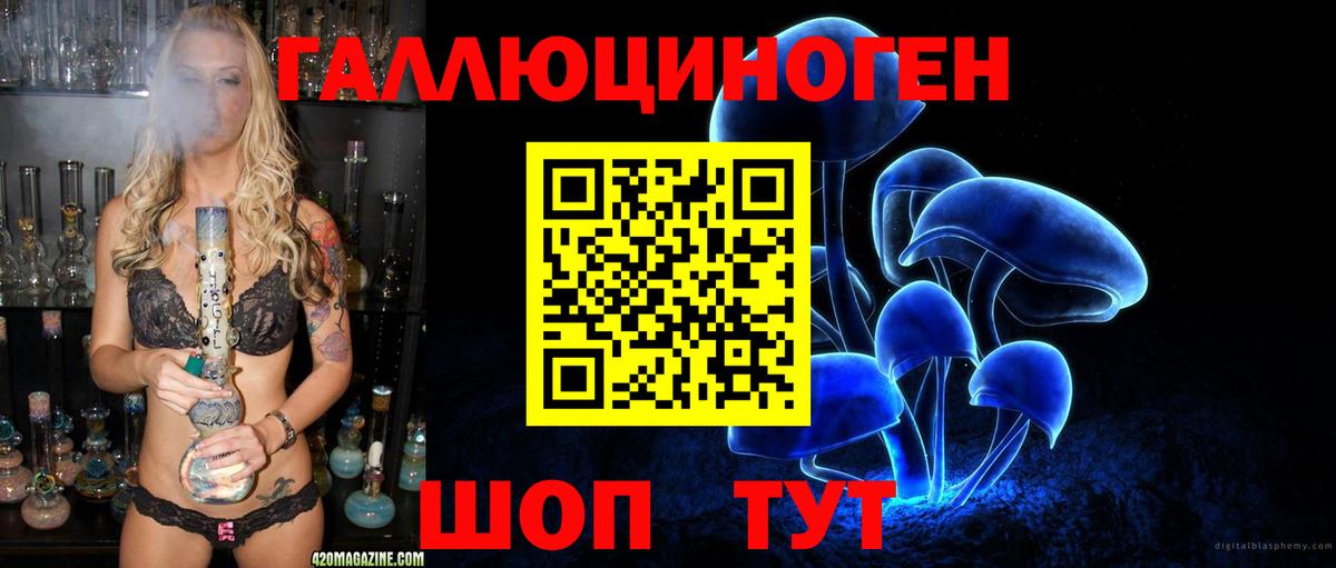 Псилоцибиновые грибы Cubensis Верхняя Салда