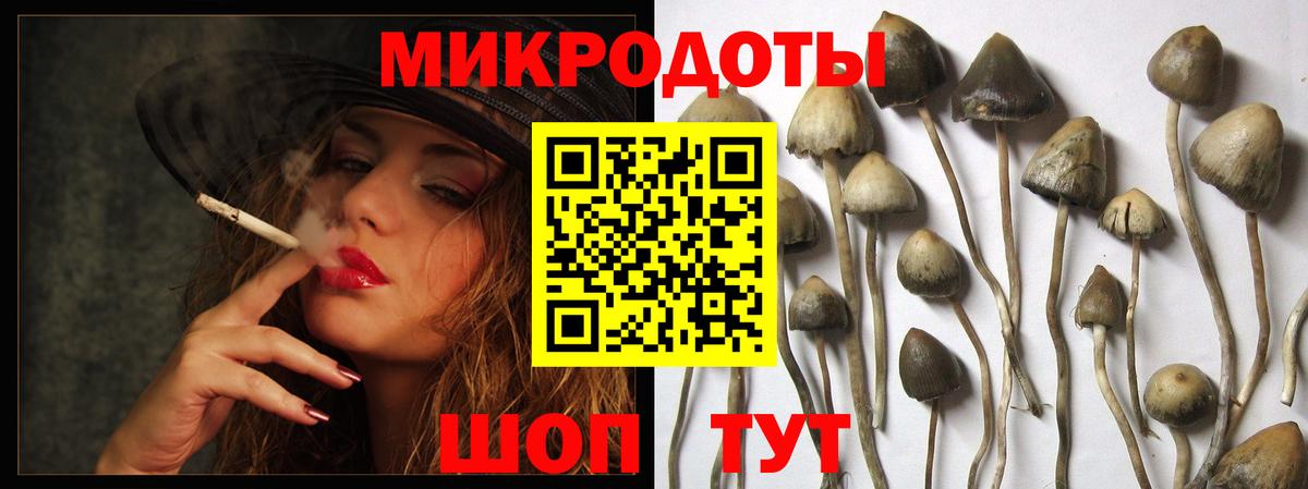 Псилоцибиновые грибы прущие грибы  Вход с VPN  Верхняя Салда 